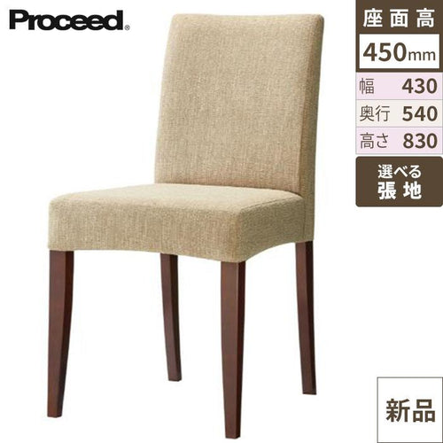 業務用椅子【プロシード】イオンイスBR 11625-A 幅430×奥行540×高さ830 シート高450(mm) /業務用/新品/送料無料