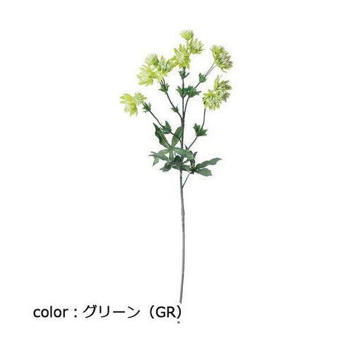 ポピー アストランティア FA-6250 全長67cm・花径2~4cm