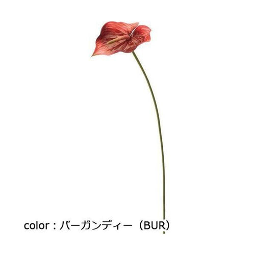 ポピー アンスリューム FA-6935 全長73cm・花長17cm