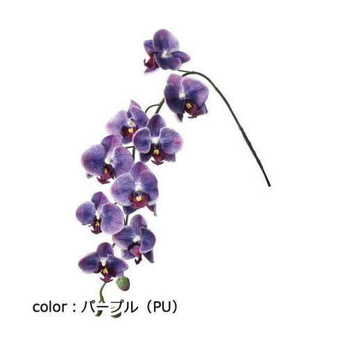 ポピー フローレンスコチョウラン FA-7409 全長78cm・花径6.8~7.5cm