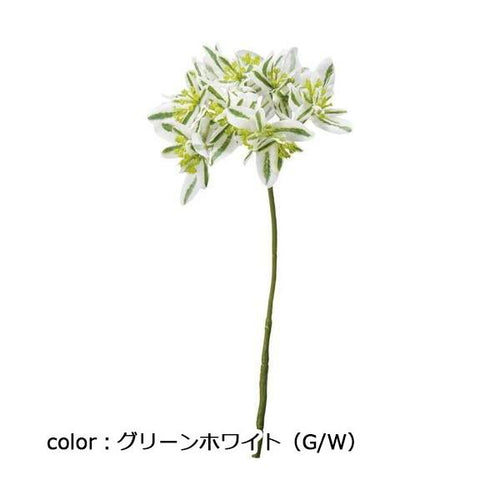 ポピー ユーフォルビア FG-4378 全長31cm・葉房径12cm