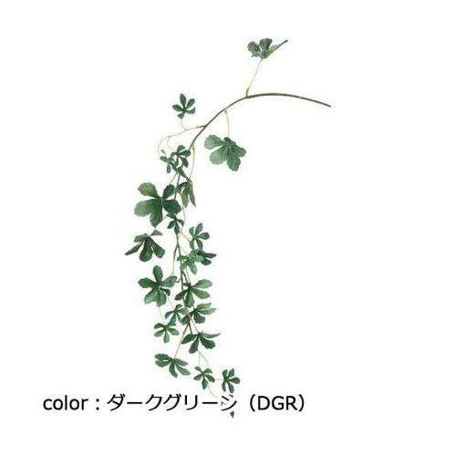 ポピー シュガーバイン FG-4611 全長50cm・葉長2.5~5cm