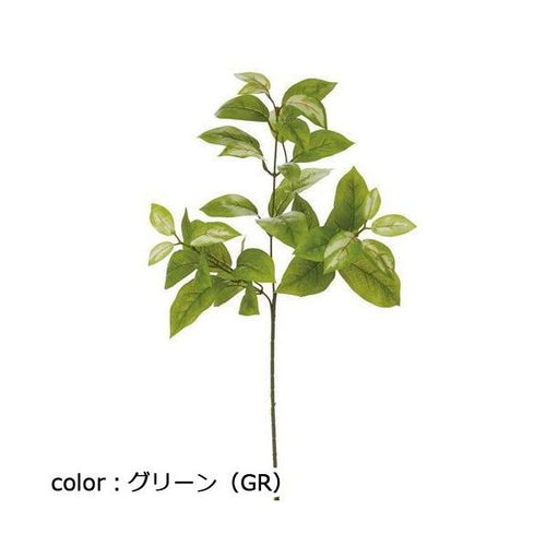 ポピー ホヤスプレー FG-4768 全長55cm・葉長3.5~10cm