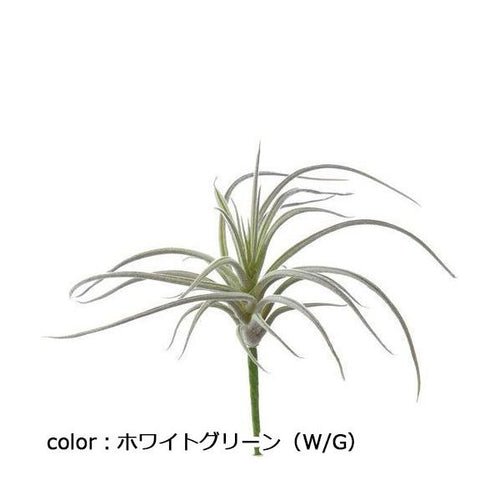 ポピー スパイダーチランジア FG-4855 全長17cm・幅18cm