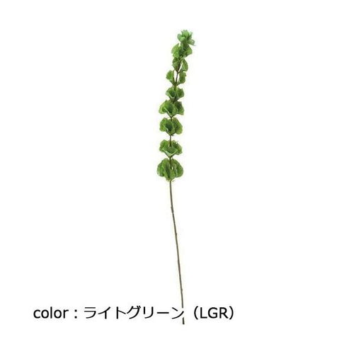 ポピー モルセラ FG-4958 全長79cm