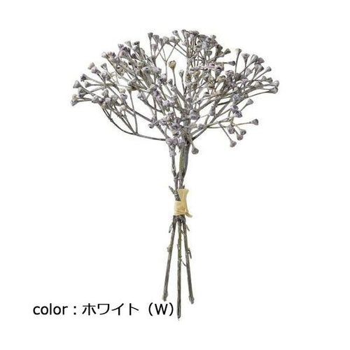 ポピー ドライベリーピック FG-5058 全長24cm・幅17cm