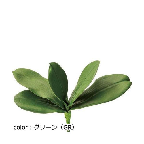 ポピー コチョウランリーフ L FG-5066 全長25cm・葉幅6~8cm・葉長10.5~16cm