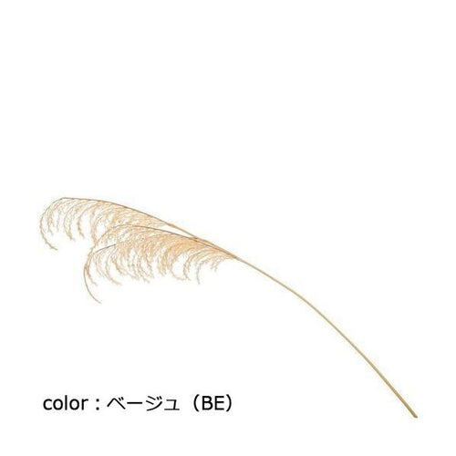 ポピー パンパススプレー FG-5115 全長118cm・穂長50cm