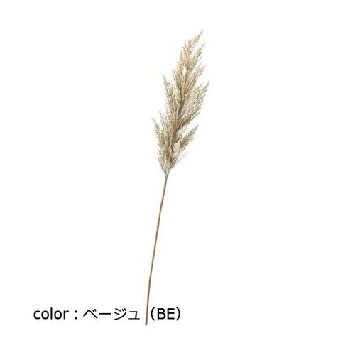 ポピー パンパスグラスL FG-5124 全長115cm・穂長50cm