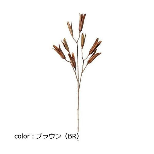 ポピー ドライリリーシードスプレー FG-5183 全長80cm・実長10cm