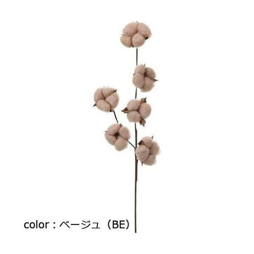 ポピー カラードコットンスプレー FG-5211 全長50cm 実経7~8cm