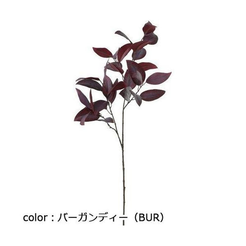 ポピー ユーカリアクロパルカスプレー FG-5224 全長80cm・葉長9.2~9.5cm