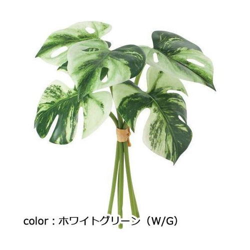 ポピー モンステラバリエガータバンドル FG-5248 全長26cm・幅25cm