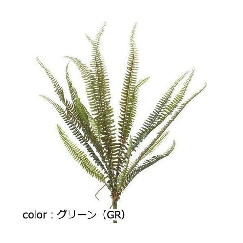 ポピー ボストンファーンロングブッシュ GL-5170 全長70cm・幅50cm