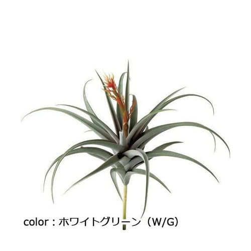 ポピー ブルームドチランジア GL-5247 全長55cm・幅55cm