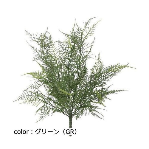 ポピー アスパラガスブッシュ GL-5265 全長50cm・幅40cm