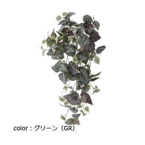 ポピー グレープベゴニアハンギングブッシュ GL-5304 全長85cm・葉径2.5?10.5cm・幅42cm