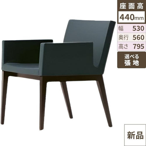 業務用椅子【送料無料】【新品】【業務用】 洋風イス セディW 1N-Aランク 幅530×奥行560×高さ795
