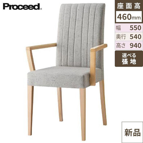 業務用椅子【プロシード】リーブルアームイスB-NA 11542-A 幅550×奥行540×高さ940 シート高460(mm) /業務用/新品/送料無料
