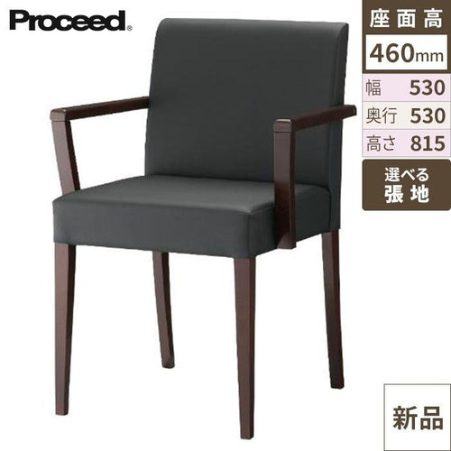 業務用椅子【プロシード】リーブルアームイス2A-BR 11564-A 幅530×奥行530×高さ815 シート高460(mm) /業務用/新品/送料無料