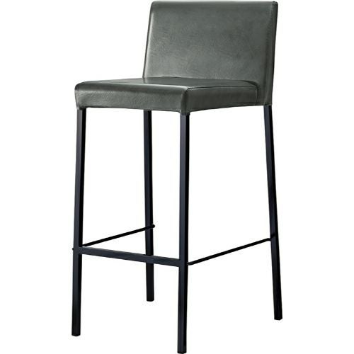 業務用椅子【プロシード】リペットスタンドBL 21507-E 幅410×奥行490×高さ920 シート高700(mm) /業務用/新品/送料無料