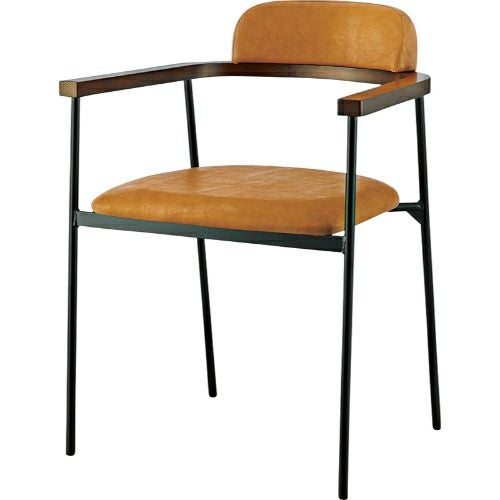 業務用椅子【プロシード】ユーノキイスBL2 21812-A 幅540×奥行505×高さ730 シート高450(mm) /業務用/新品/送料無料