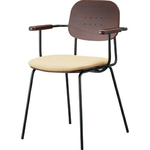 業務用椅子【プロシード】トルーイスBL2 21861-A 幅555×奥行495×高さ780 シート高450(mm) /業務用/新品/送料無料