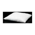 座布団 EG綿ミックス55*59用(銘仙判用)/業務用/新品/小物送料対象商品