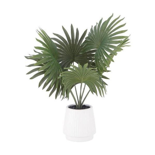 フェイクグリーン パナマソウ セラミックポット /業務用/新品/送料別