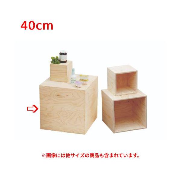 6-019-08/HP 5面体DP BOX(無塗装)40cm 約幅40×奥行40×高さ40cm/業務用/新品/小物送料対象商品