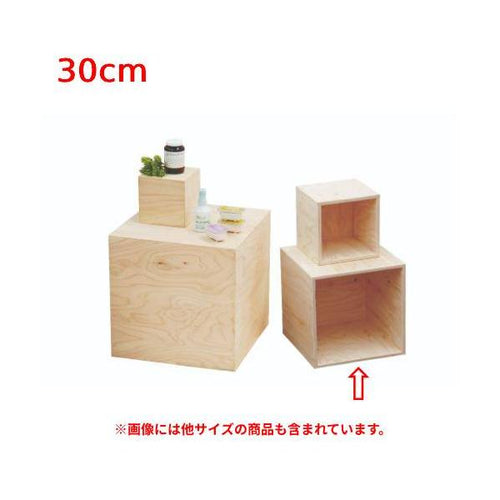 6-019-07/HP 5面体DP BOX(無塗装)30cm 約幅30×奥行30×高さ30cm/業務用/新品/小物送料対象商品