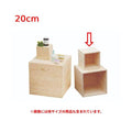 6-019-06/HP 5面体DP BOX(無塗装)20cm 約幅20×奥行20×高さ20cm/業務用/新品/小物送料対象商品