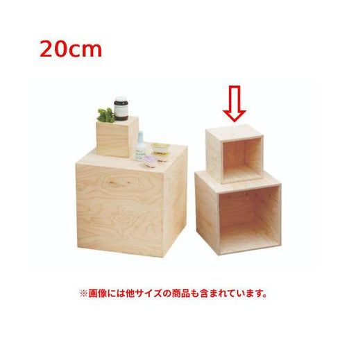 6-019-06/HP 5面体DP BOX(無塗装)20cm 約幅20×奥行20×高さ20cm/業務用/新品/小物送料対象商品