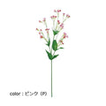 ポピー サポナリア FA-6320 全長66cm・花径1～1.5cm
