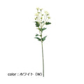 ポピー スプレーマム FA-6452 全長65cm・花径1.4～4cm