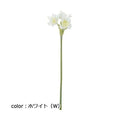 ポピー ユーチャリス FA-6611 全長68cm・花径7～9cm
