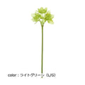 ポピー ユーチャリス FA-6611 全長68cm・花径7～9cm