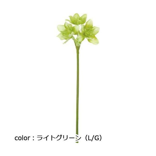 ポピー ユーチャリス FA-6611 全長68cm・花径7～9cm