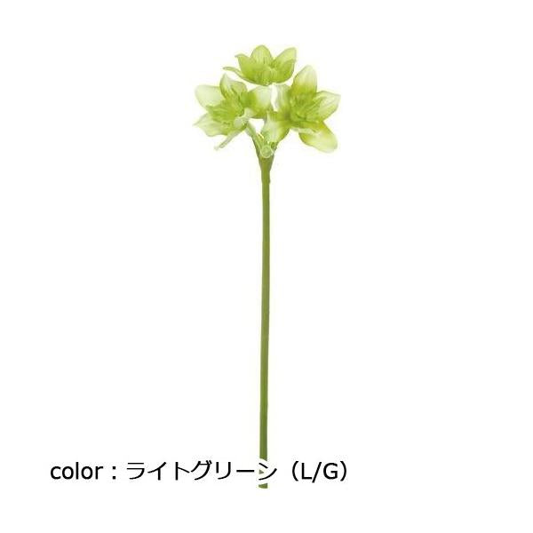 ポピー ユーチャリス FA-6611 全長68cm・花径7～9cm