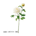 ポピー リッジーピオニー FA-6841 全長82cm・花径6～16cm