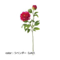 ポピー リッジーピオニー FA-6841 全長82cm・花径6～16cm