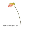 ポピー アンスリューム FA-6935 全長73cm・花長17cm