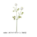 ポピー レアードラナンキュラススプレー FA-6991 全長50cm・花径2～4cm