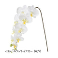 ポピー コチョウラン FA-7030A 全長100cm・花径4～11cm
