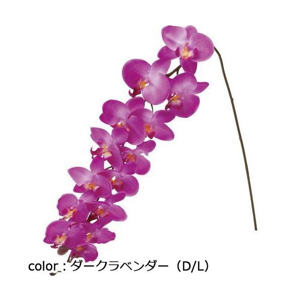 ポピー ロングコチョウラン FA-7031A 全長116cm・花径4～11cm