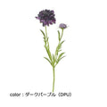 ポピー フリンジスカビオサ FA-7077 全長40cm・花径9cm