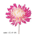 ポピー 重ね菊ピック FA-7121 全長19cm・花径11cm