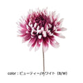 ポピー 重ね菊ピック FA-7121 全長19cm・花径11cm