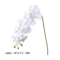 ポピー コチョウラン FA-7203 全長77cm・花径7.5～9cm