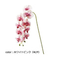 ポピー コチョウラン FA-7203 全長77cm・花径7.5～9cm